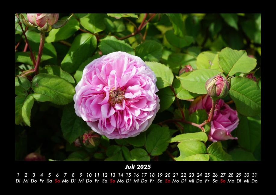 additionalImage11