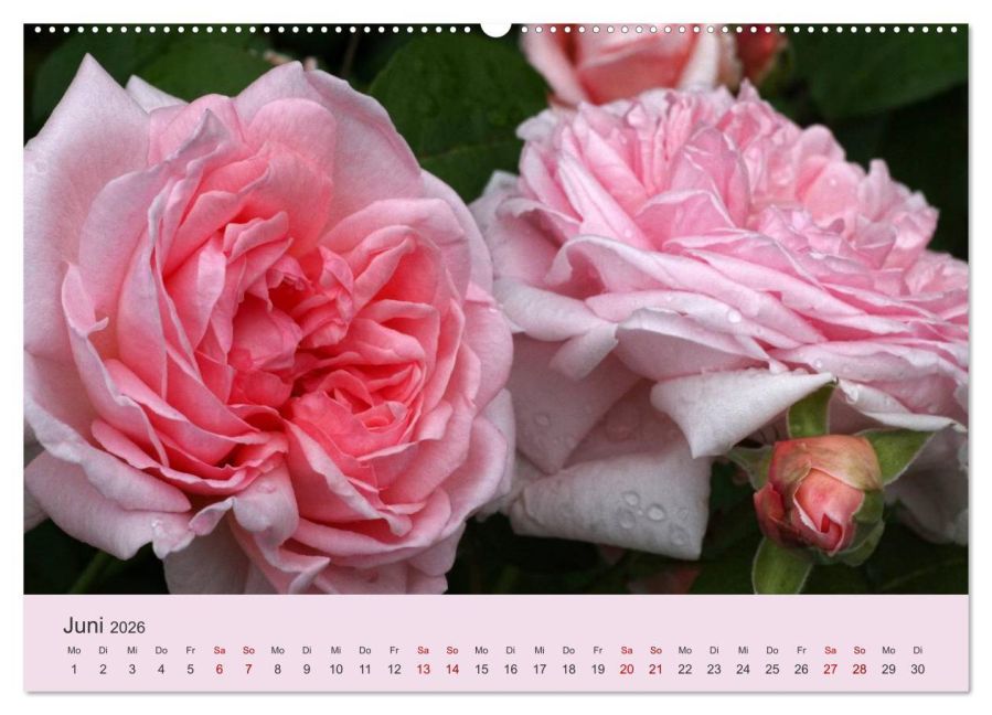 additionalImage11