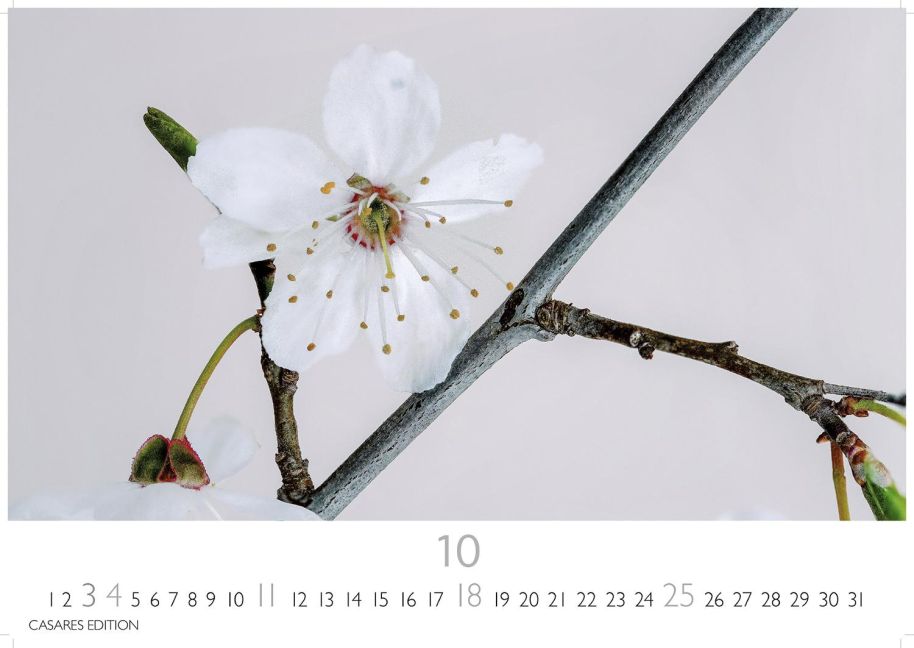 additionalImage10