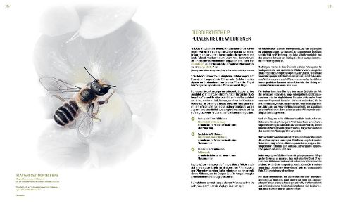 additionalImage7
