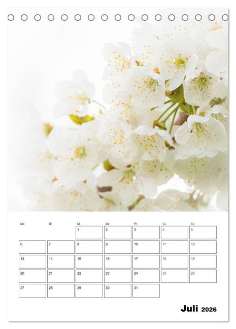 additionalImage12