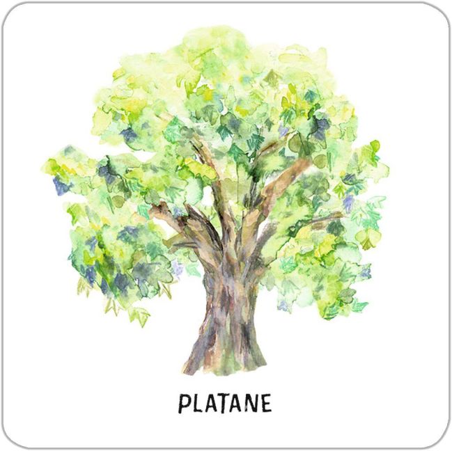 additionalImage4