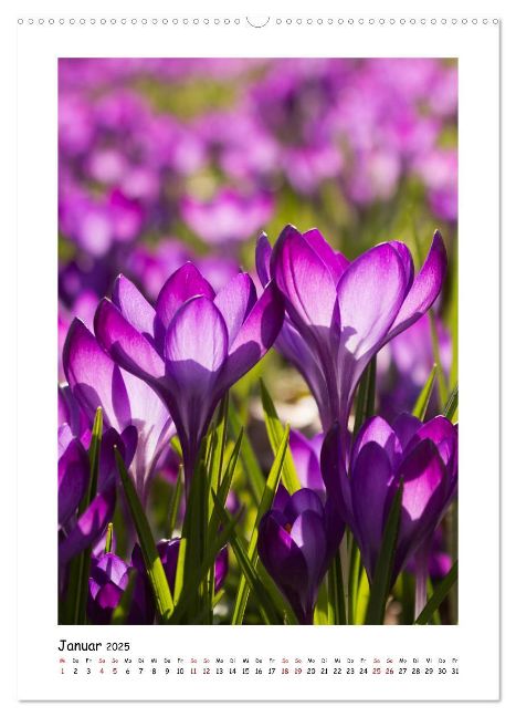 additionalImage5