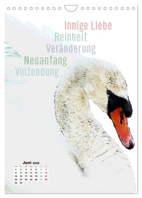 additionalImage11