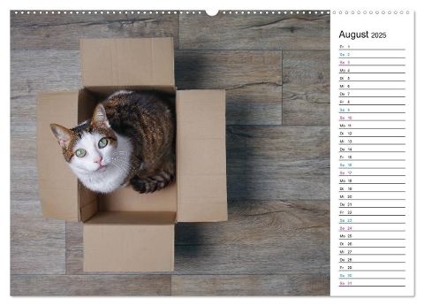 additionalImage12