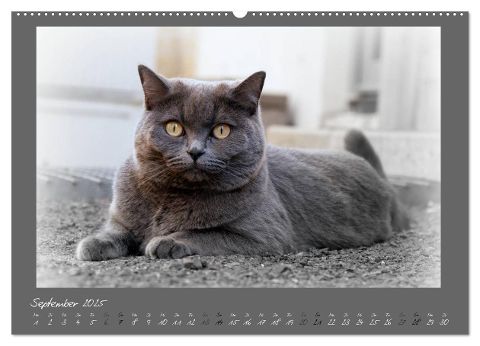 additionalImage10