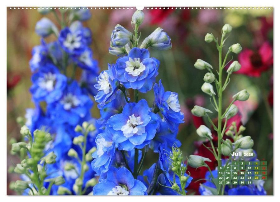 additionalImage11