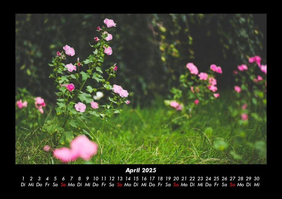 additionalImage8