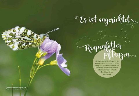 additionalImage5