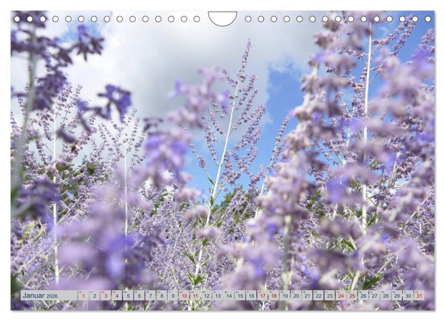 additionalImage6