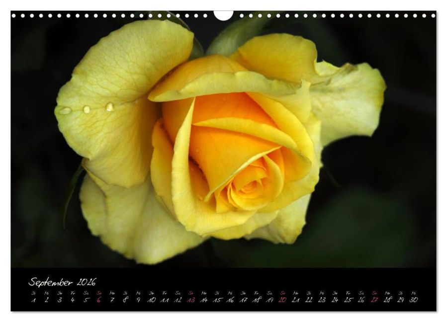 additionalImage14