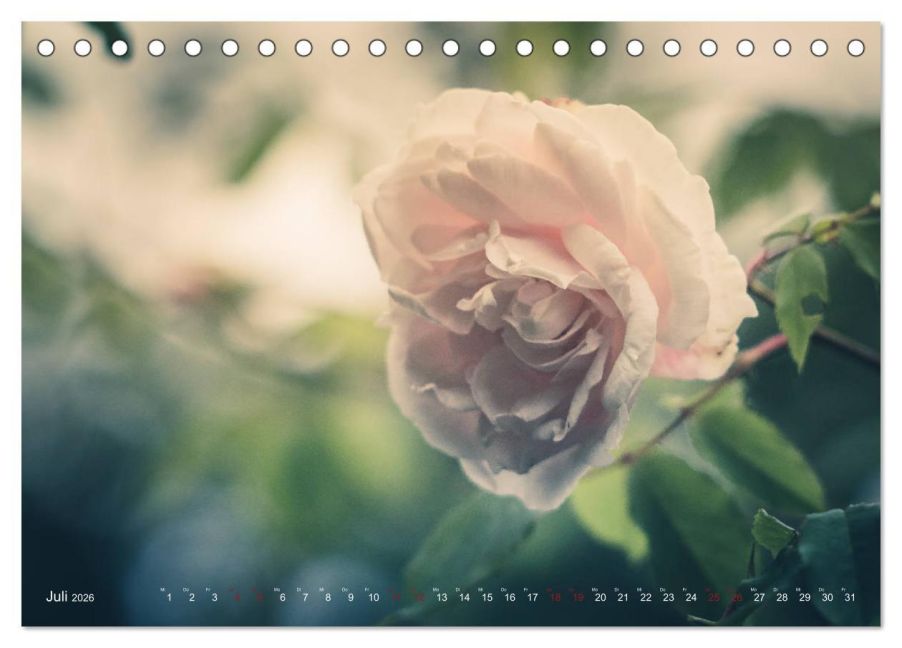 additionalImage12