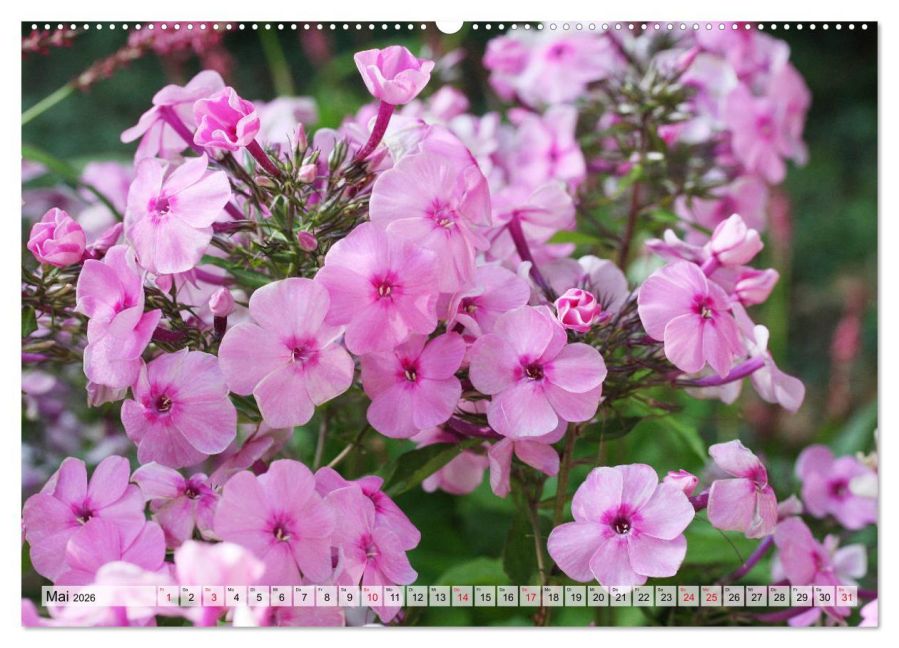 additionalImage10