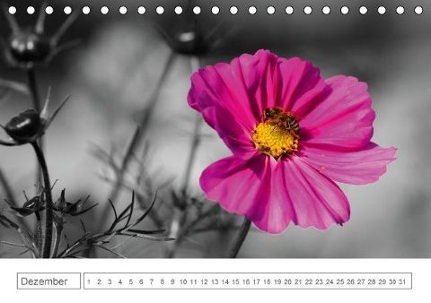additionalImage12