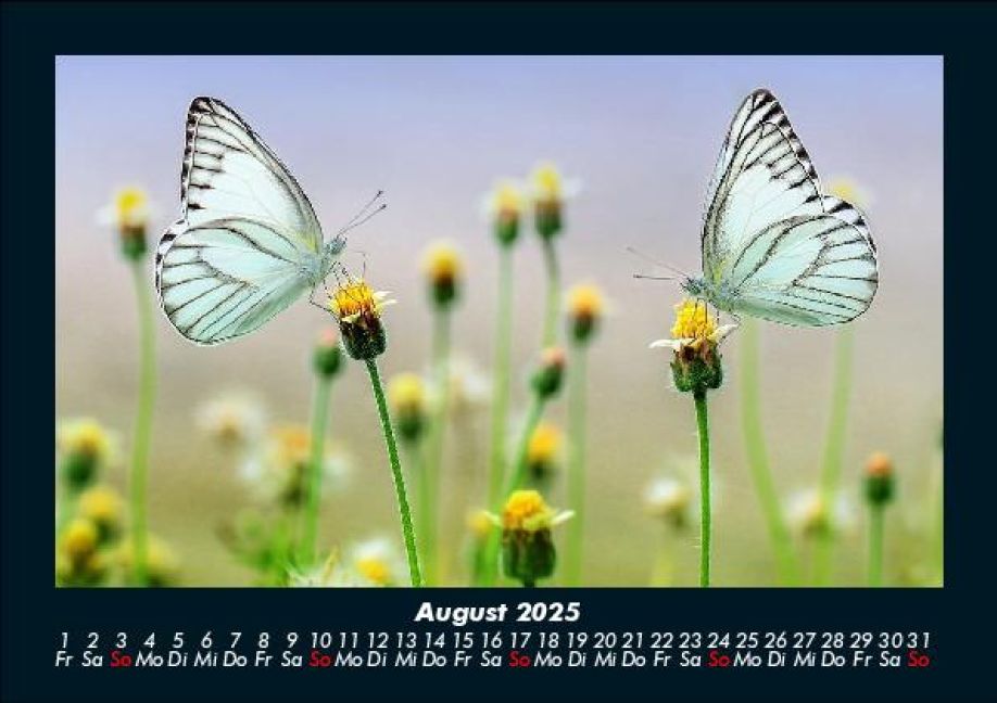 additionalImage12