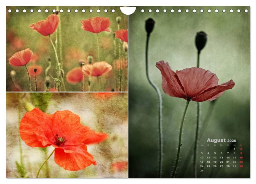additionalImage13