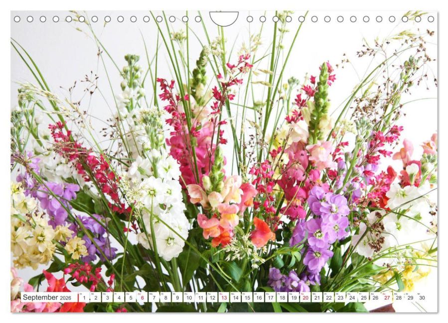additionalImage14