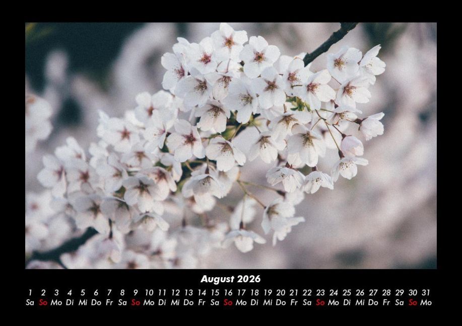 additionalImage12