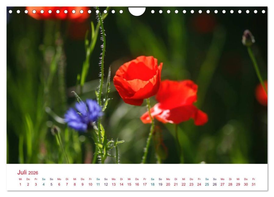 additionalImage12