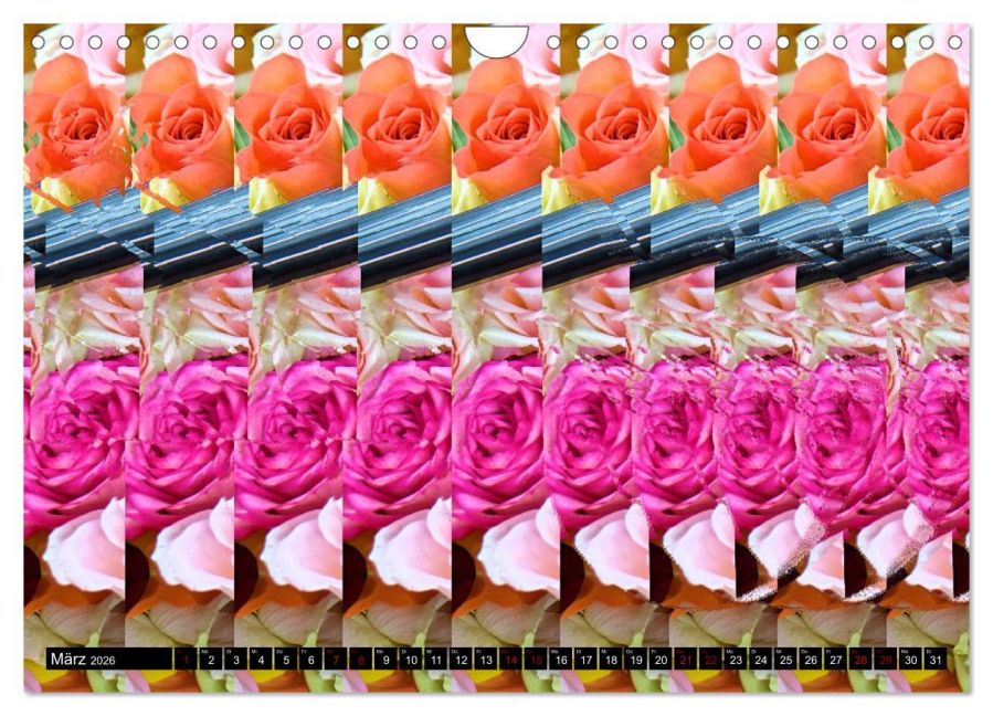 additionalImage8