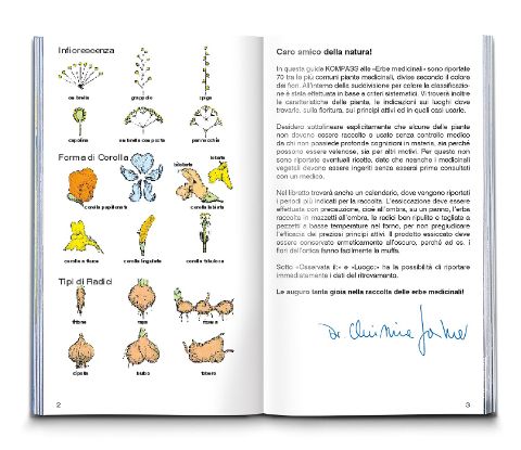 additionalImage1
