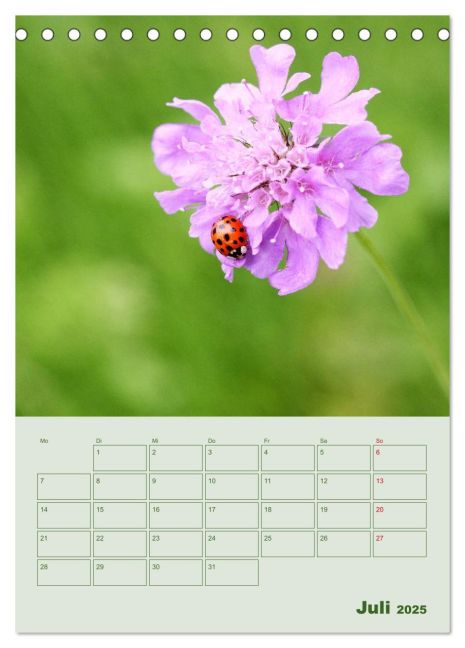 additionalImage12