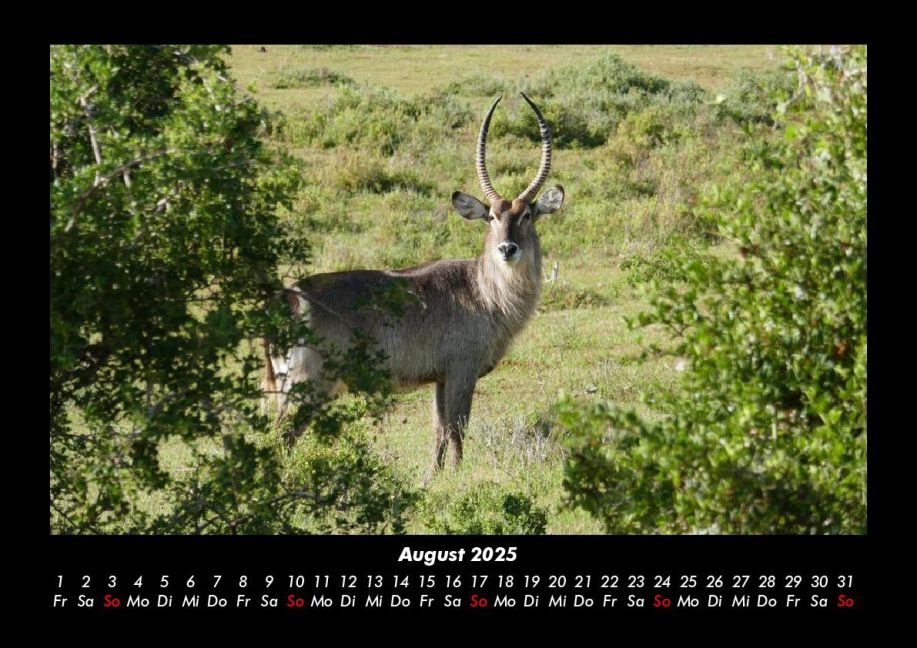 additionalImage12