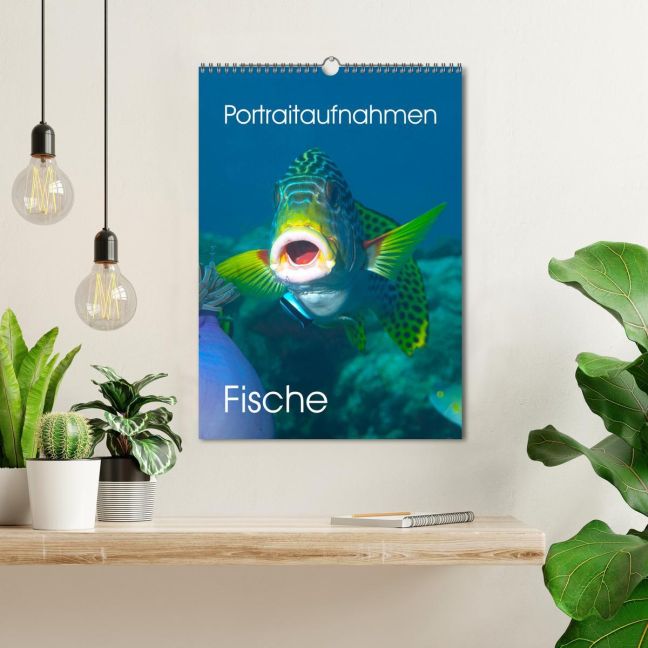 additionalImage1