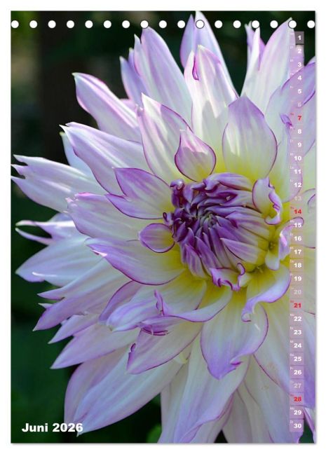 additionalImage11