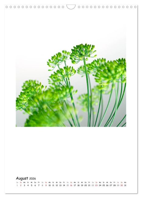 additionalImage13
