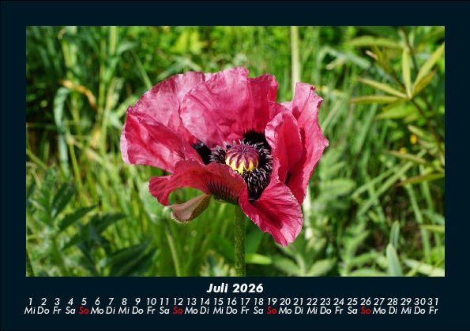 additionalImage11