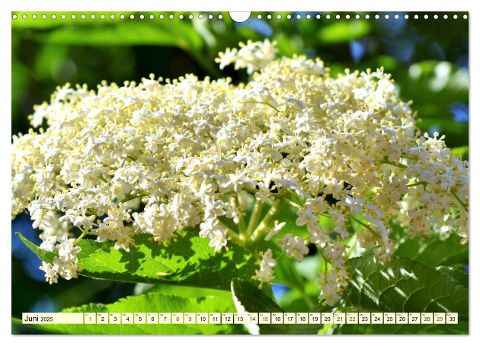 additionalImage11