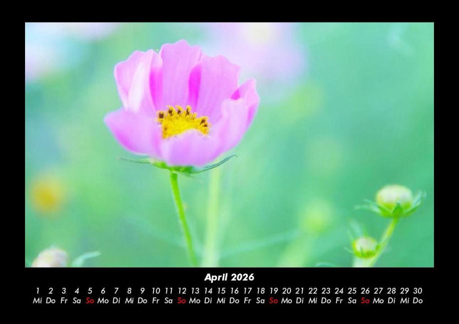 additionalImage8