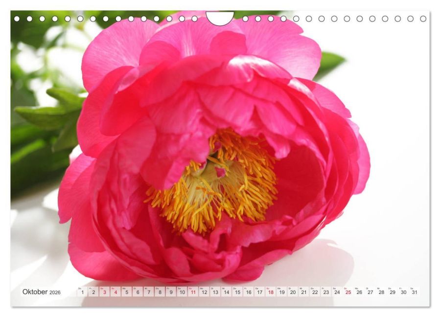 additionalImage2