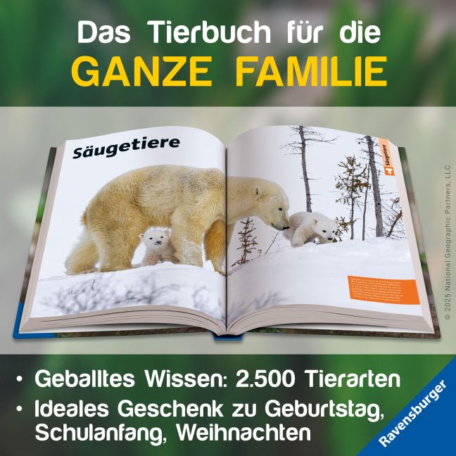 additionalImage1
