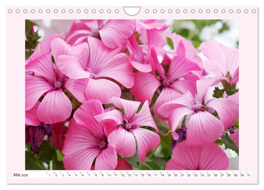 additionalImage10