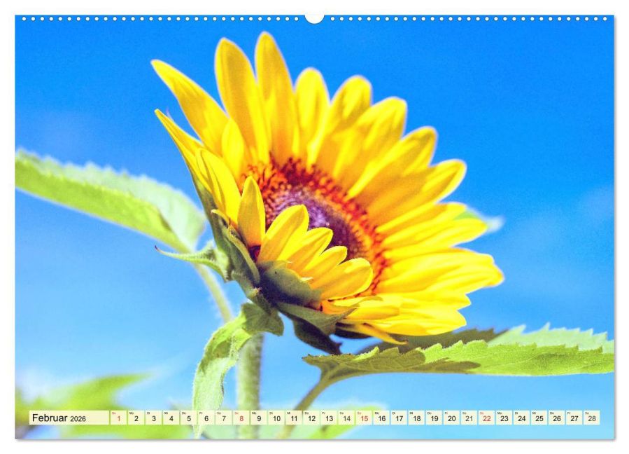 additionalImage7