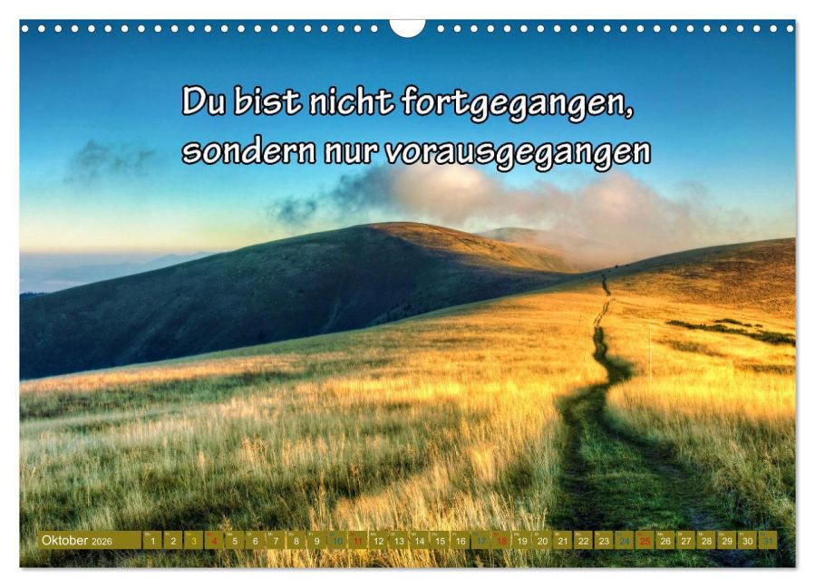 additionalImage2