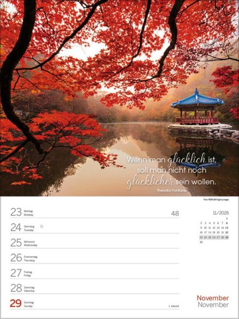 additionalImage11