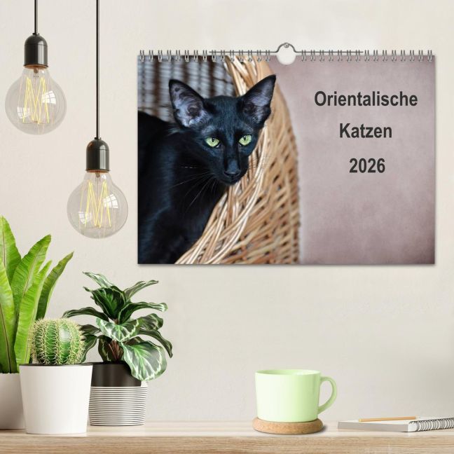 additionalImage1