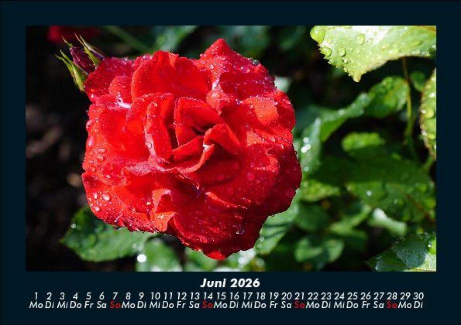 additionalImage10