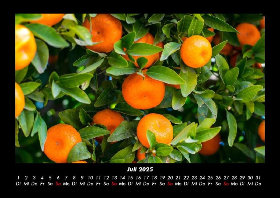 additionalImage11