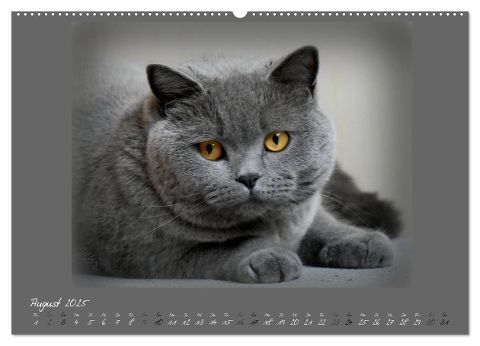 additionalImage9