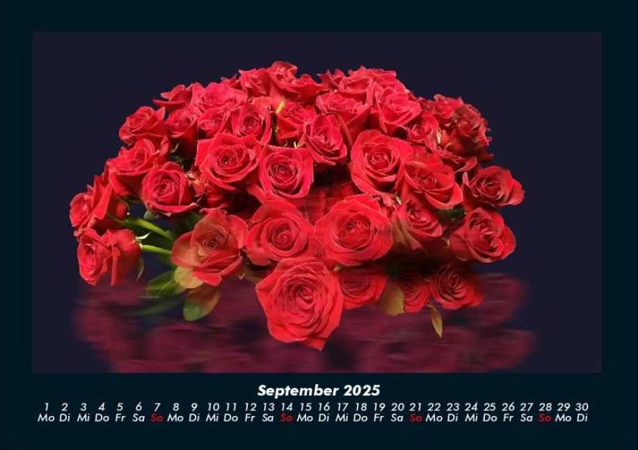 additionalImage1