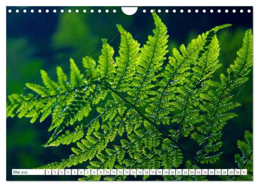 additionalImage10