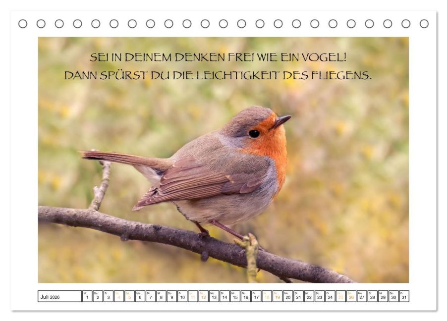 additionalImage12
