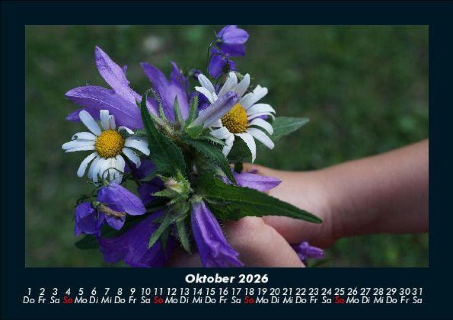 additionalImage2