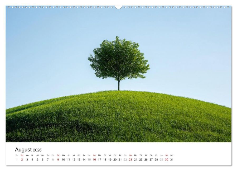 additionalImage13