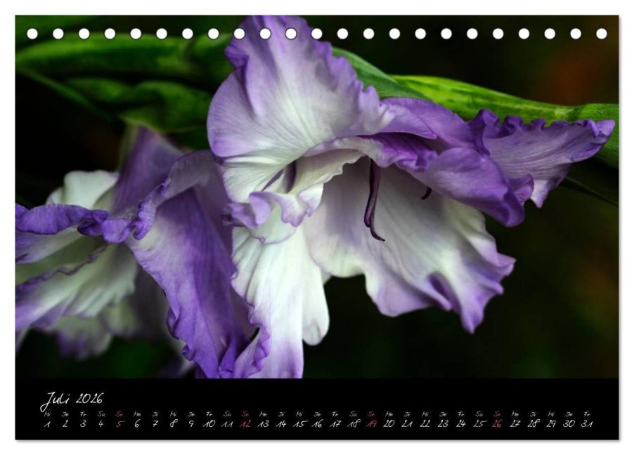 additionalImage12