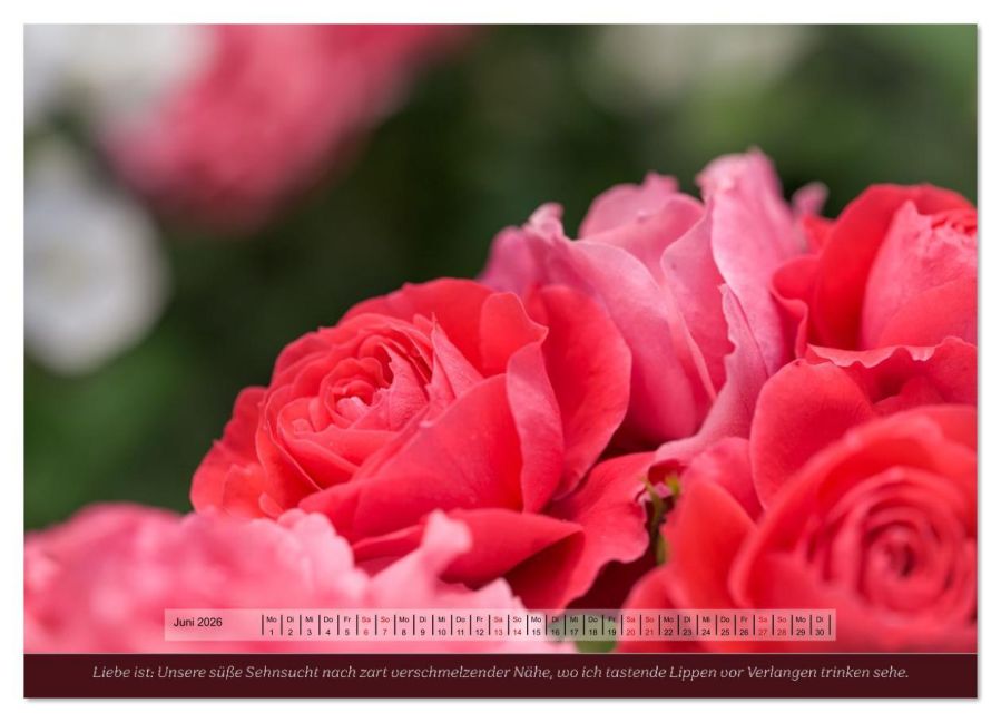 additionalImage10